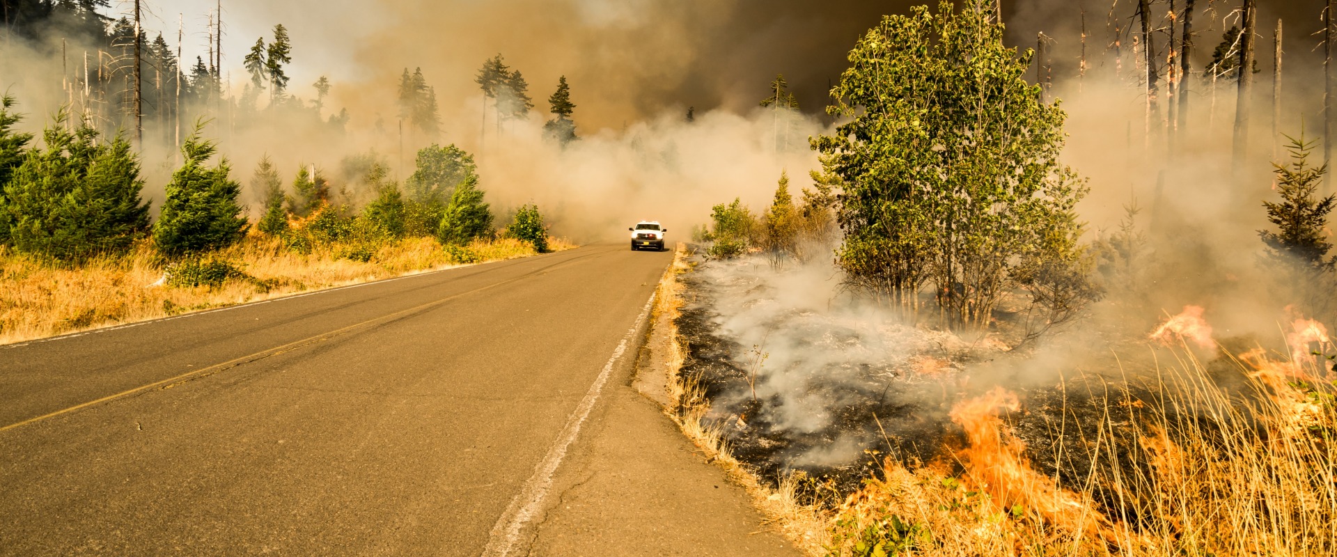 What States Have the Most Wildfires? The Role of Air Ionizer Installation in Combatting Smoke Pollution