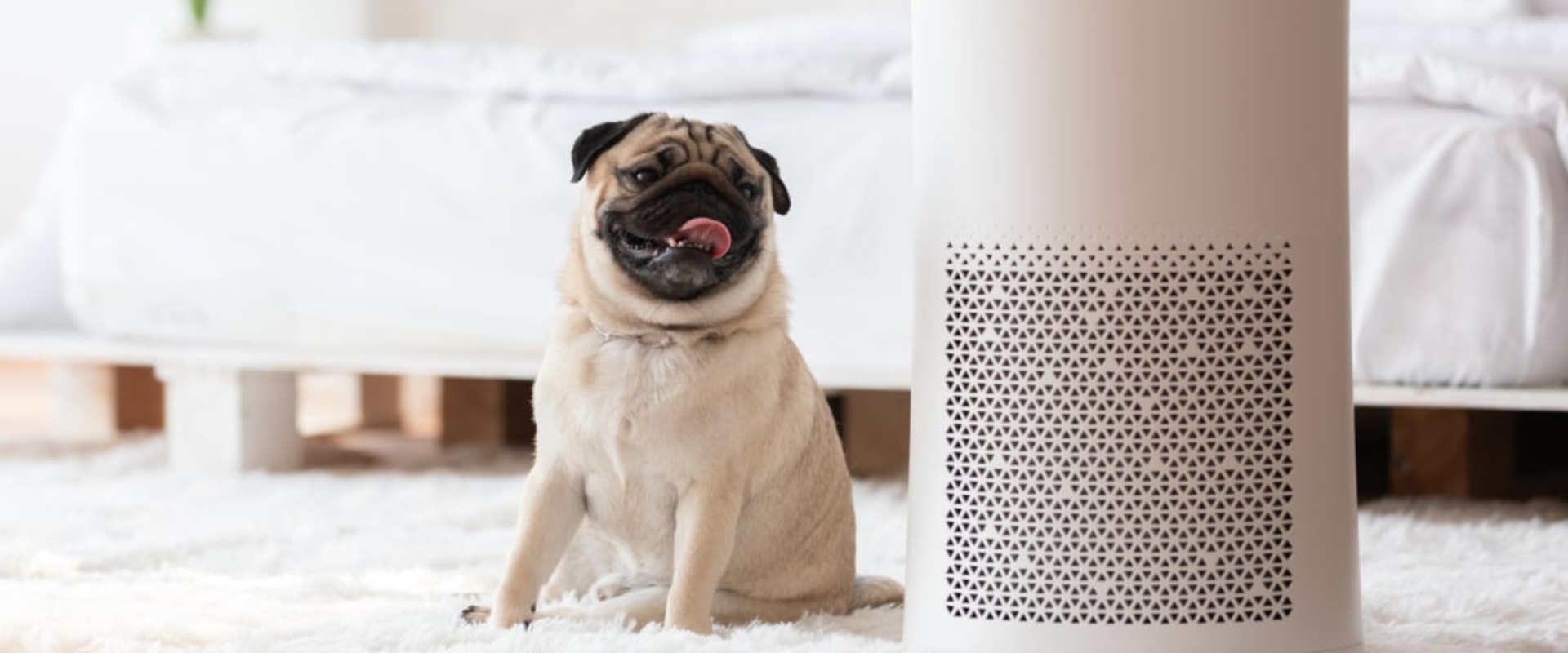 Do Air Purifiers Emit Ozone? An Expert's Guide to Finding the Best Ozone-Free Option