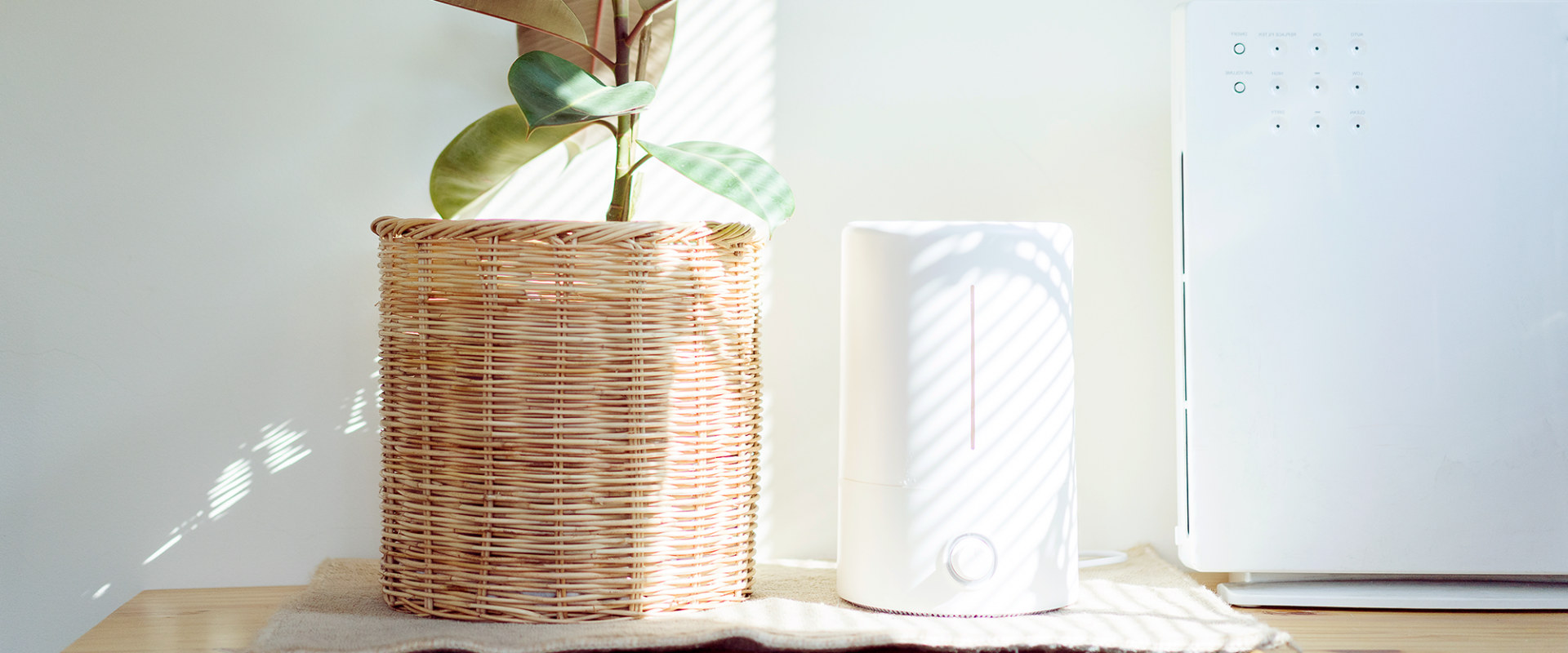 What Air Purifiers Don't Produce Ozone? - An Expert's Guide