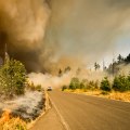 What States Have the Most Wildfires? The Role of Air Ionizer Installation in Combatting Smoke Pollution