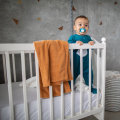 Air Ionizers in Baby's Room: What You Need to Know