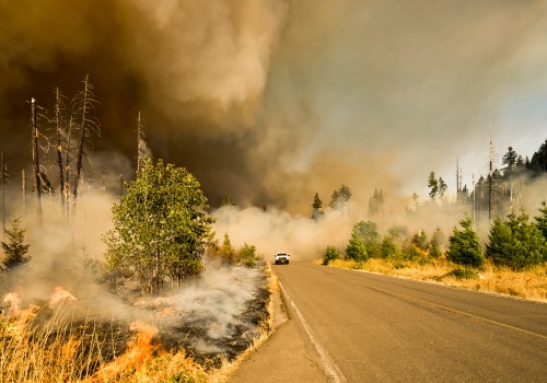 What States Have the Most Wildfires? The Role of Air Ionizer Installation in Combatting Smoke Pollution