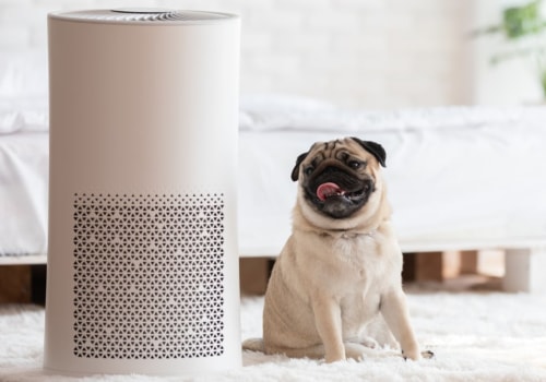 Do Air Purifiers Emit Ozone? An Expert's Guide to Finding the Best Ozone-Free Option